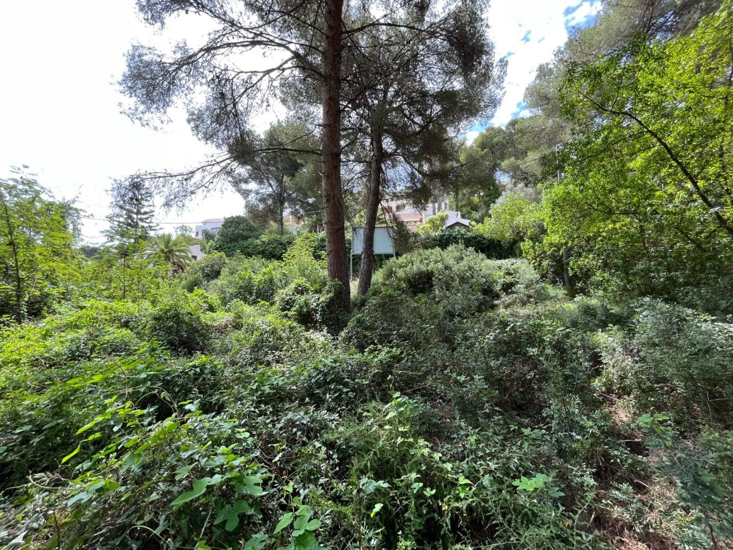 Magnífica parcela con vistas al mar en Javea
