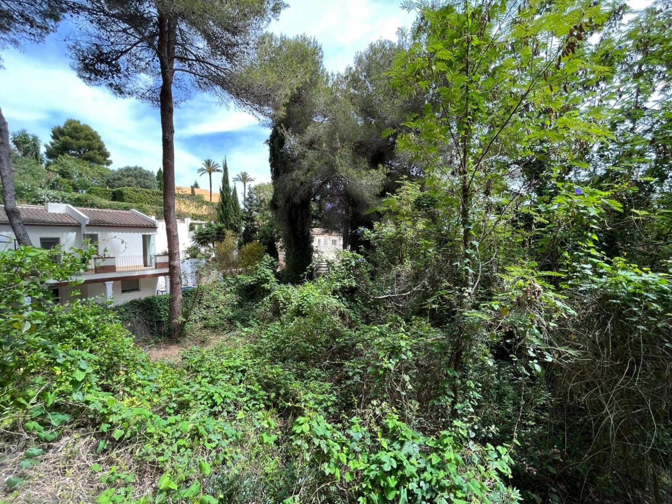 Magnífica parcela con vistas al mar en Javea