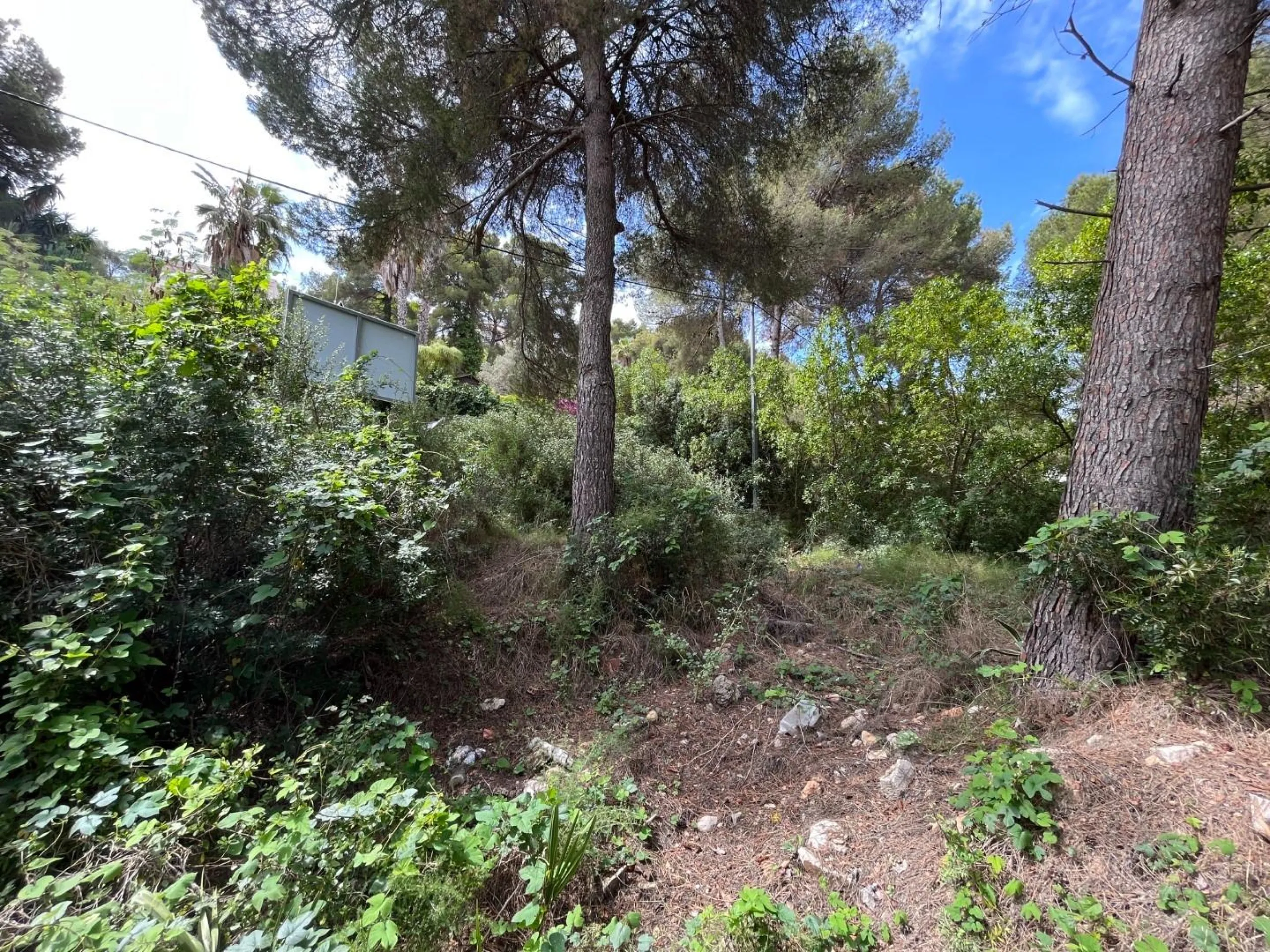 Magnífica parcela con vistas al mar en Javea