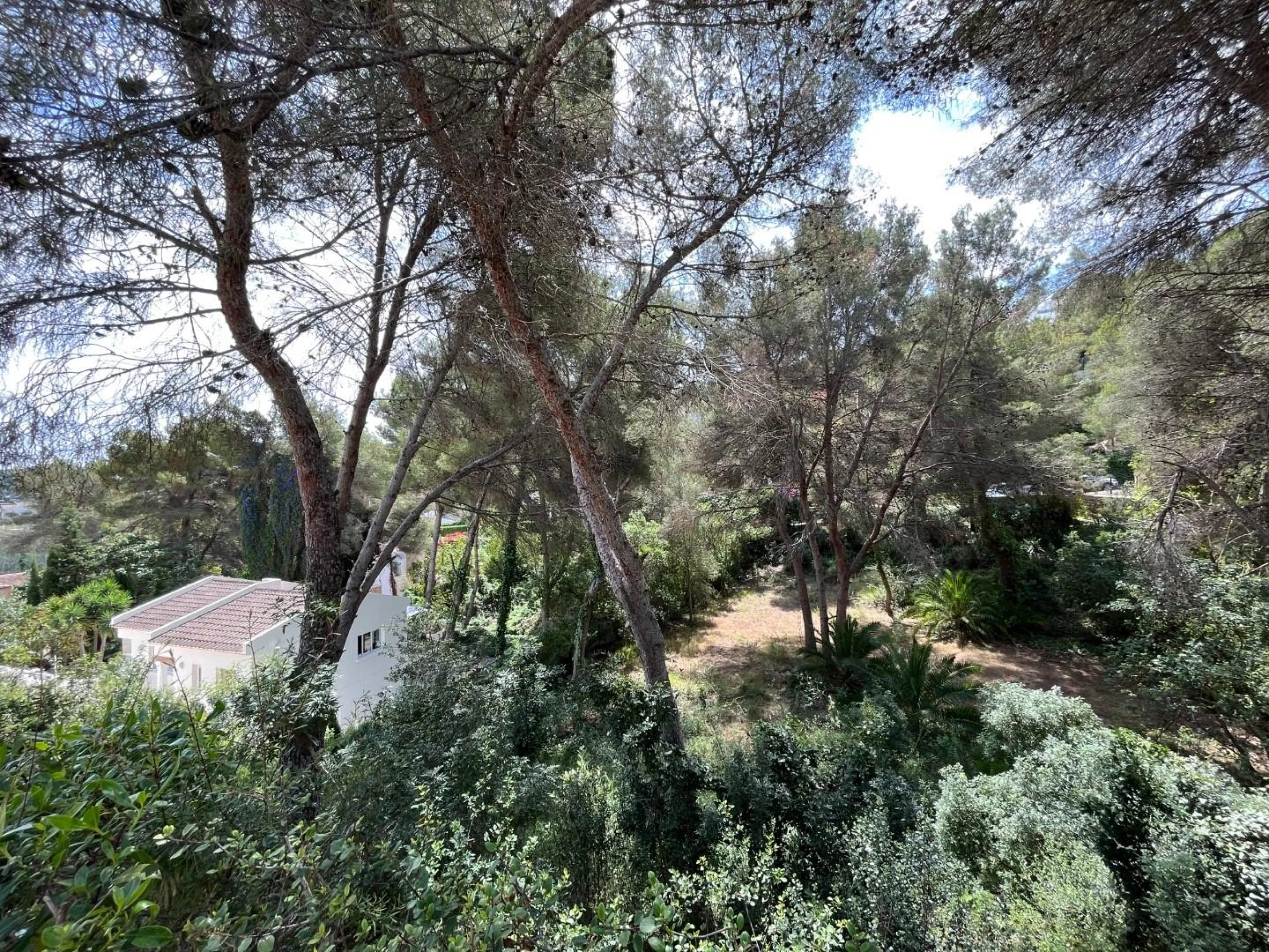 Magnífica parcela con vistas al mar en Javea