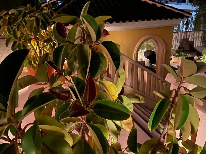 Wonderful detached villa in Ciudad Quesada