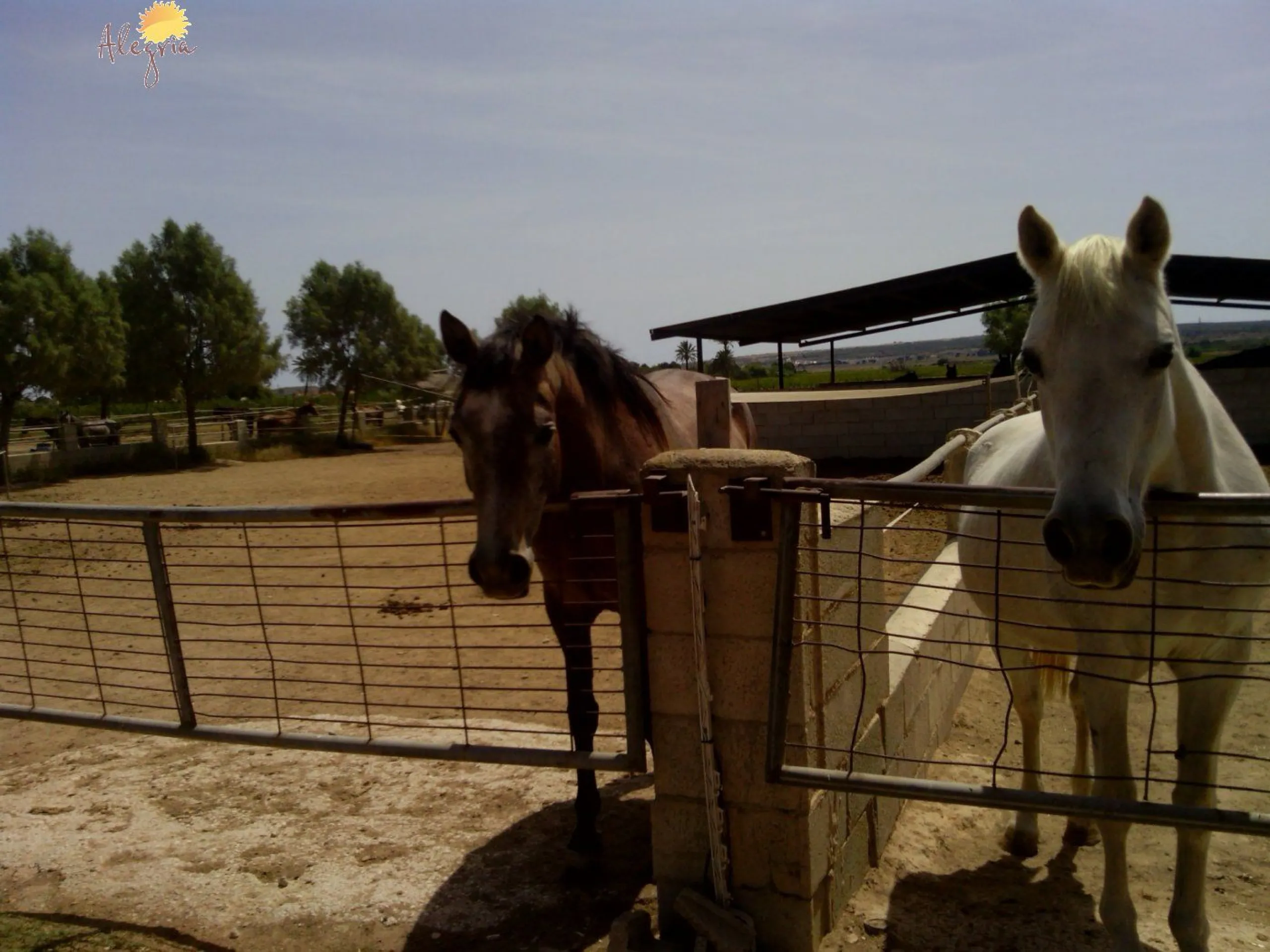 FAMOUS RIDING CENTER WITH INDEPENDENT RURAL HOUSE