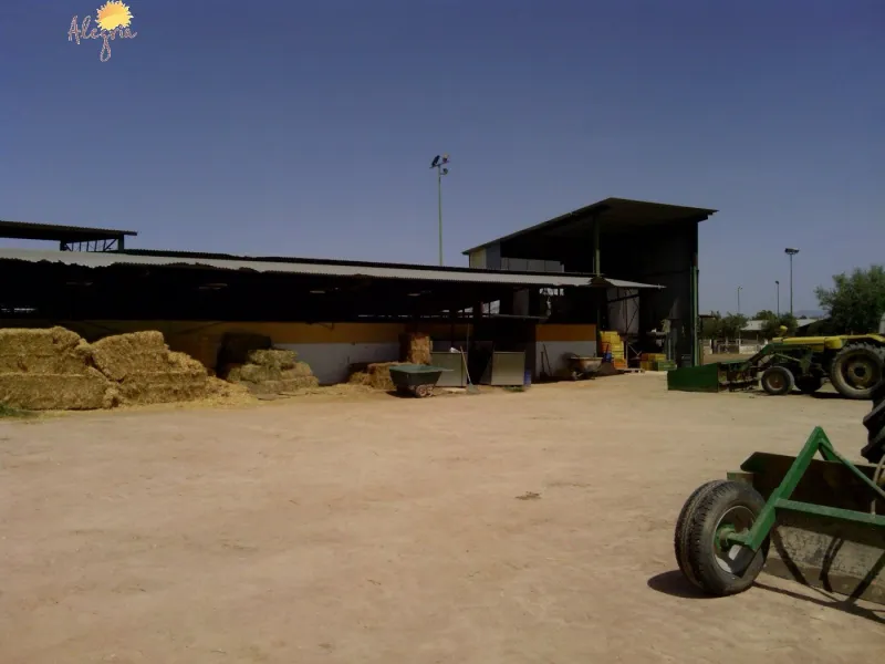 FAMOUS RIDING CENTER WITH INDEPENDENT RURAL HOUSE