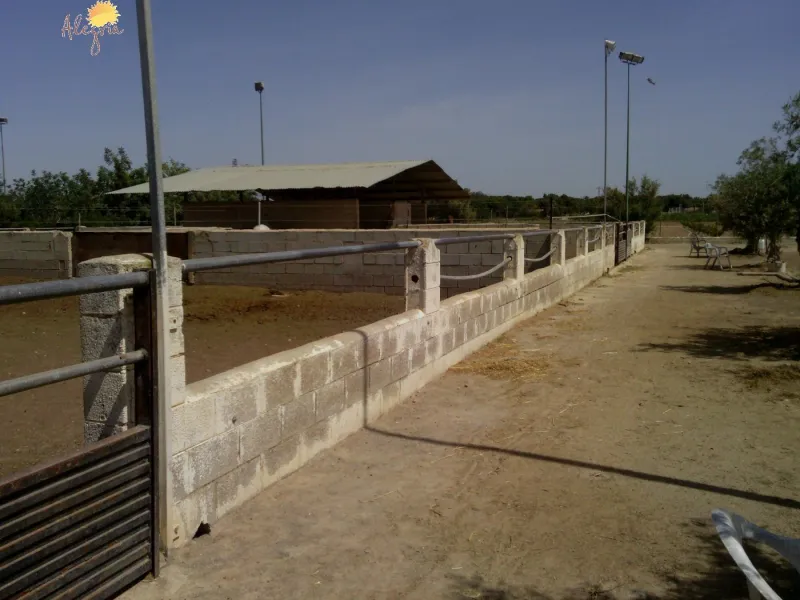 FAMOUS RIDING CENTER WITH INDEPENDENT RURAL HOUSE