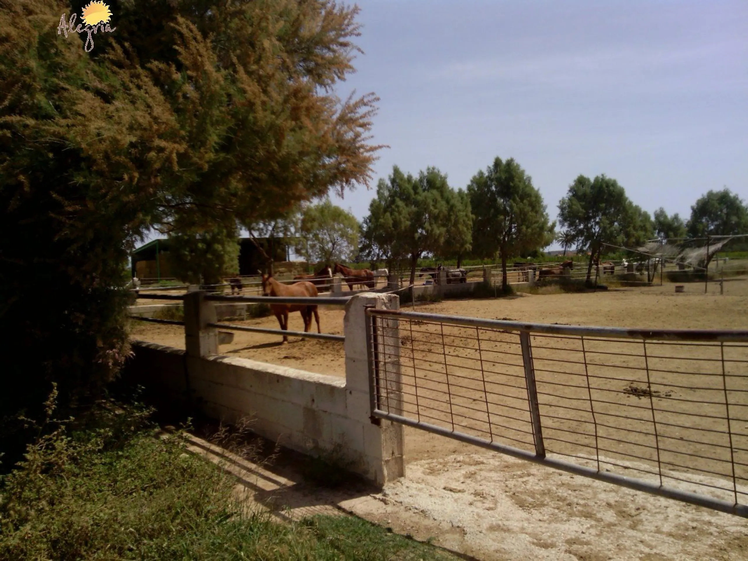 FAMOUS RIDING CENTER WITH INDEPENDENT RURAL HOUSE