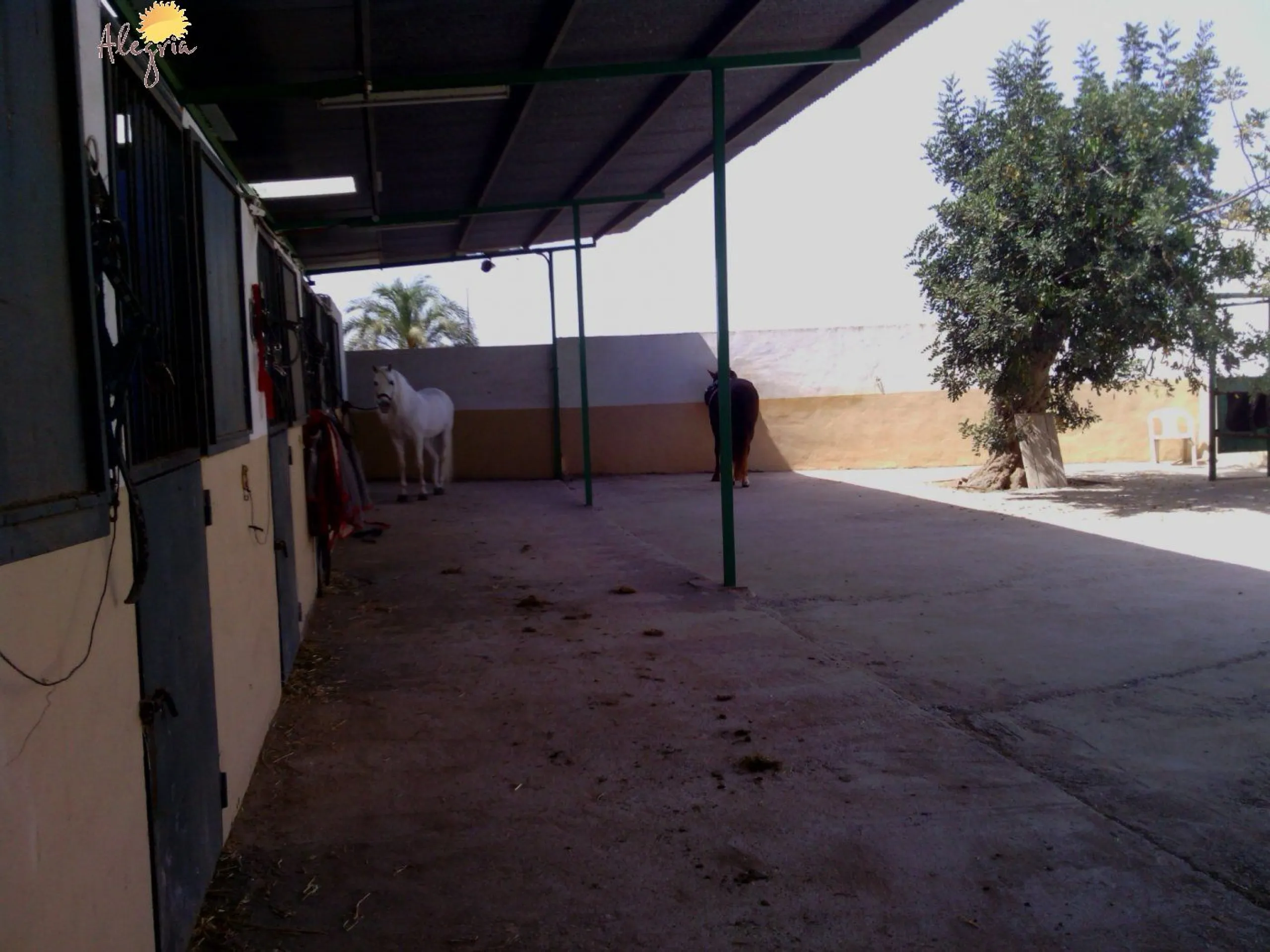 FAMOUS RIDING CENTER WITH INDEPENDENT RURAL HOUSE