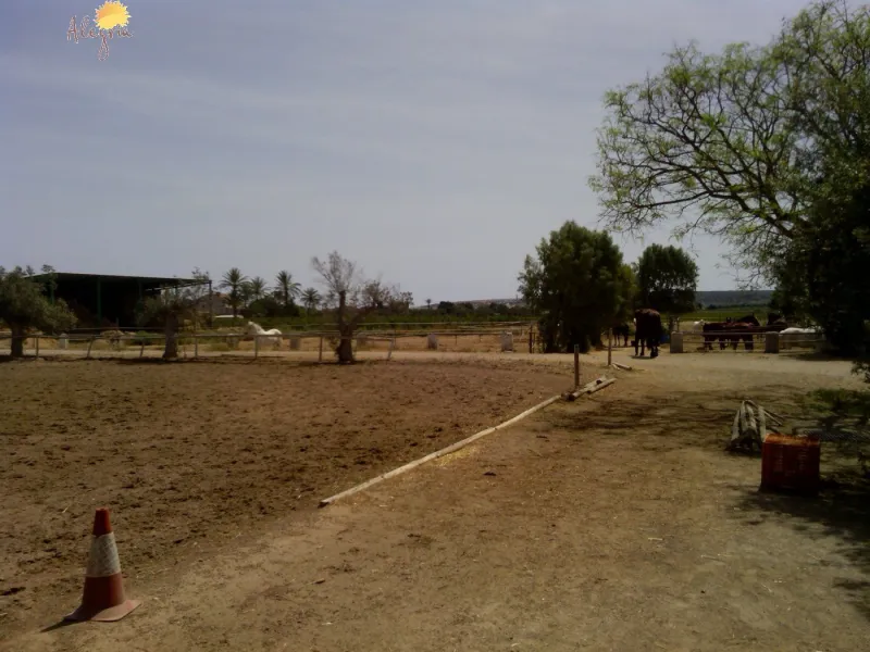 FAMOUS RIDING CENTER WITH INDEPENDENT RURAL HOUSE