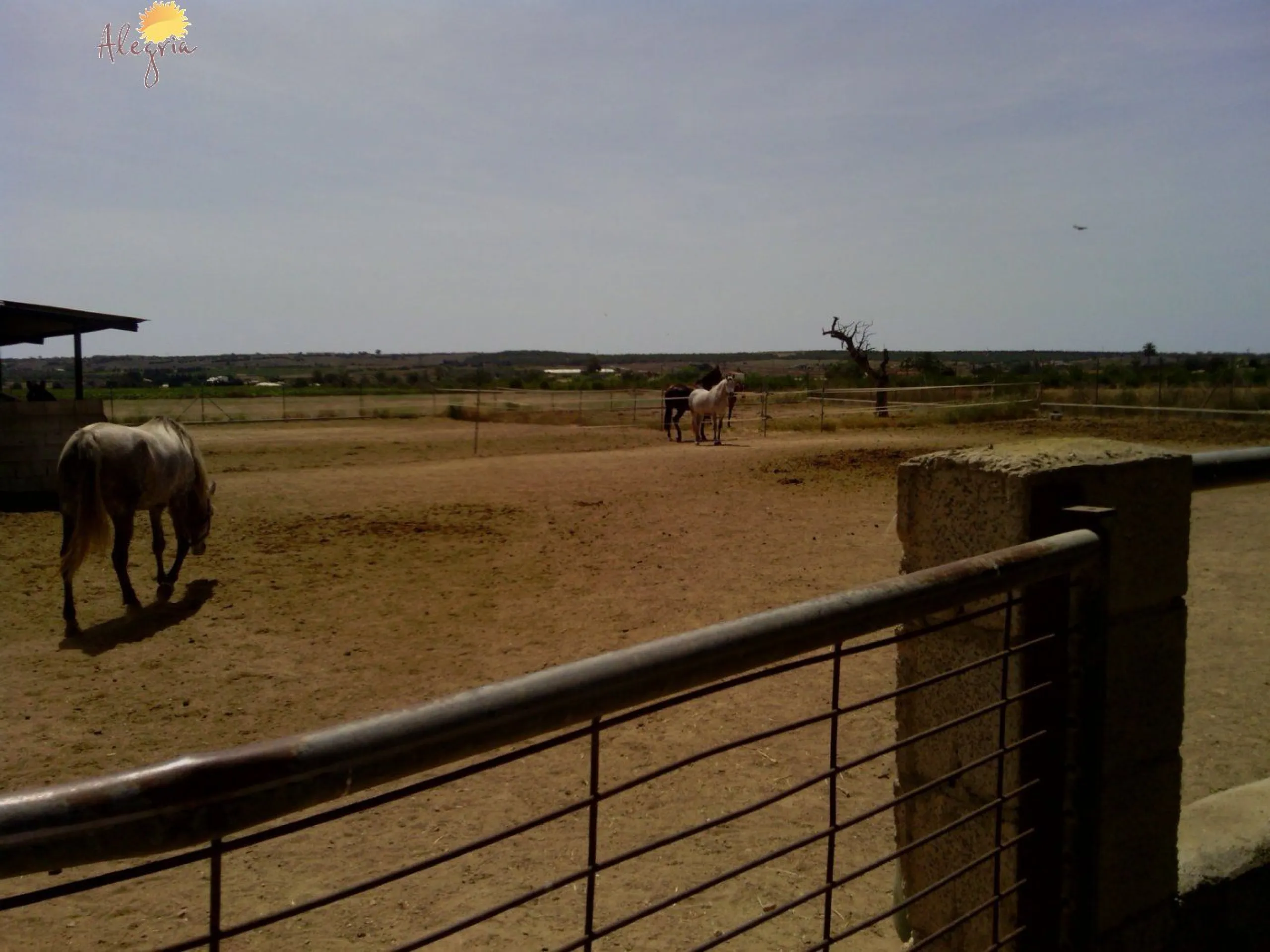 FAMOUS RIDING CENTER WITH INDEPENDENT RURAL HOUSE