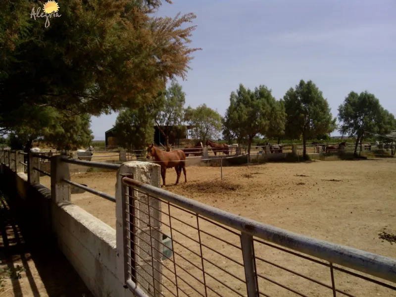 FAMOUS RIDING CENTER WITH INDEPENDENT RURAL HOUSE