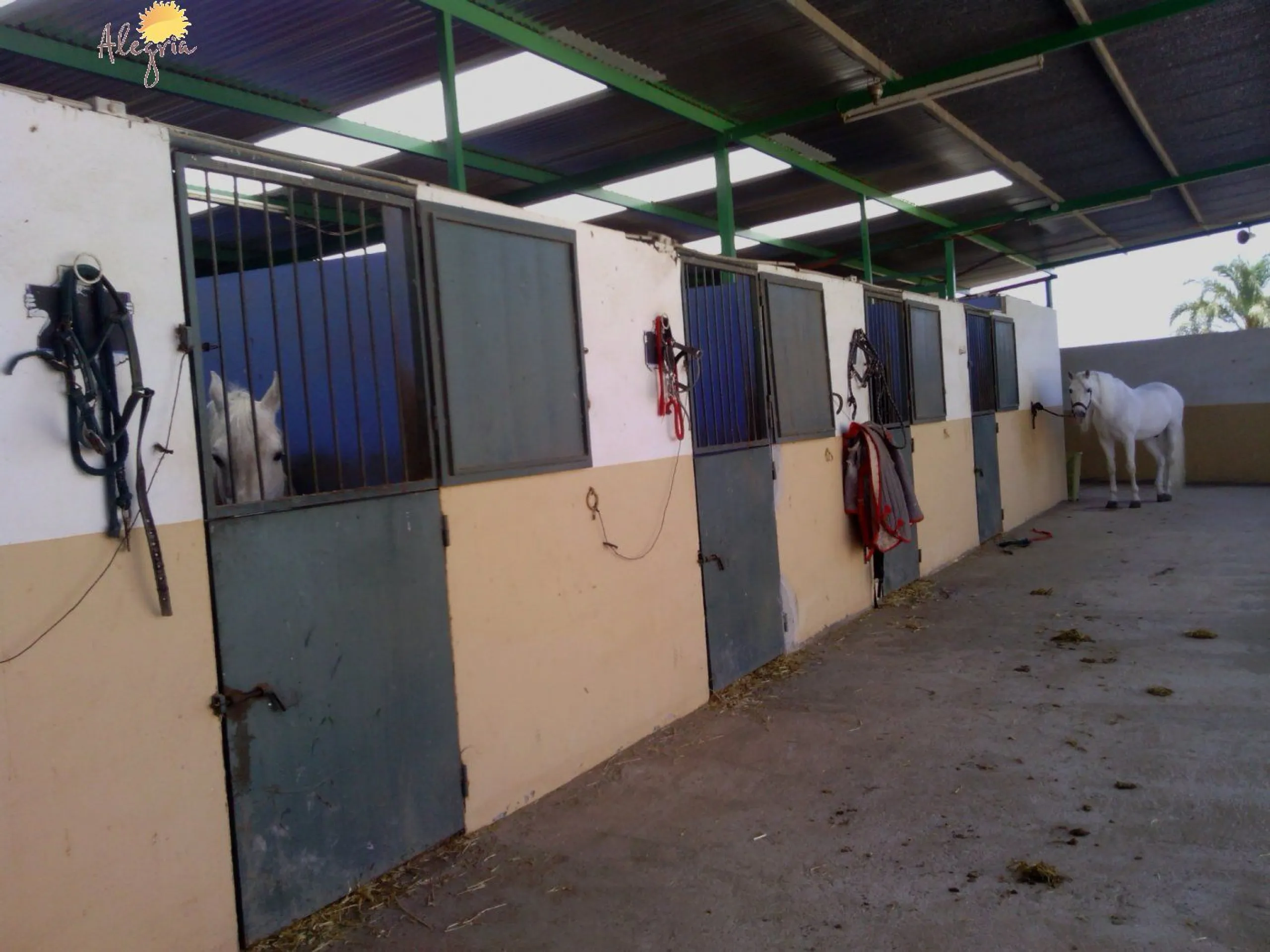 FAMOUS RIDING CENTER WITH INDEPENDENT RURAL HOUSE