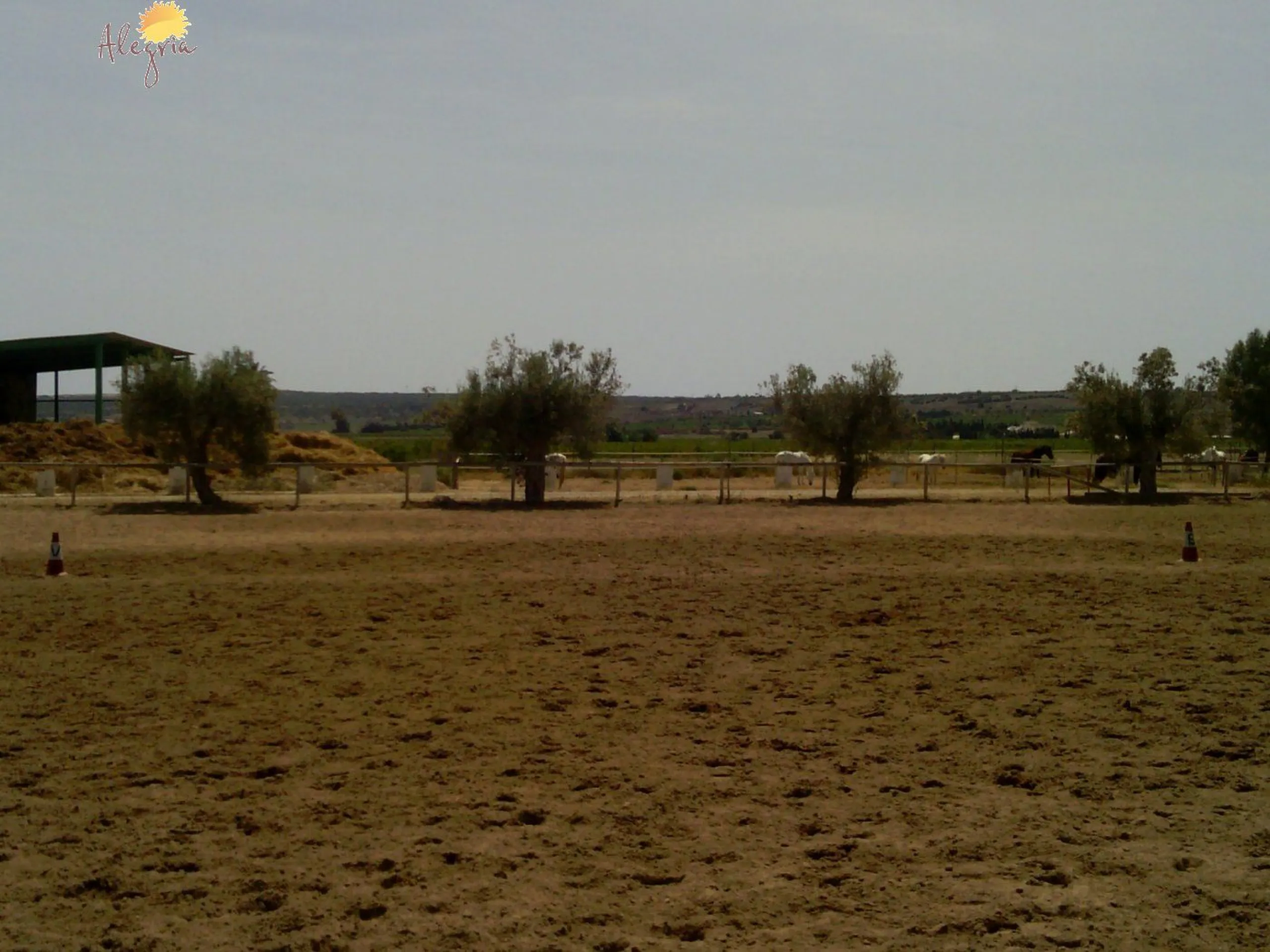 FAMOUS RIDING CENTER WITH INDEPENDENT RURAL HOUSE