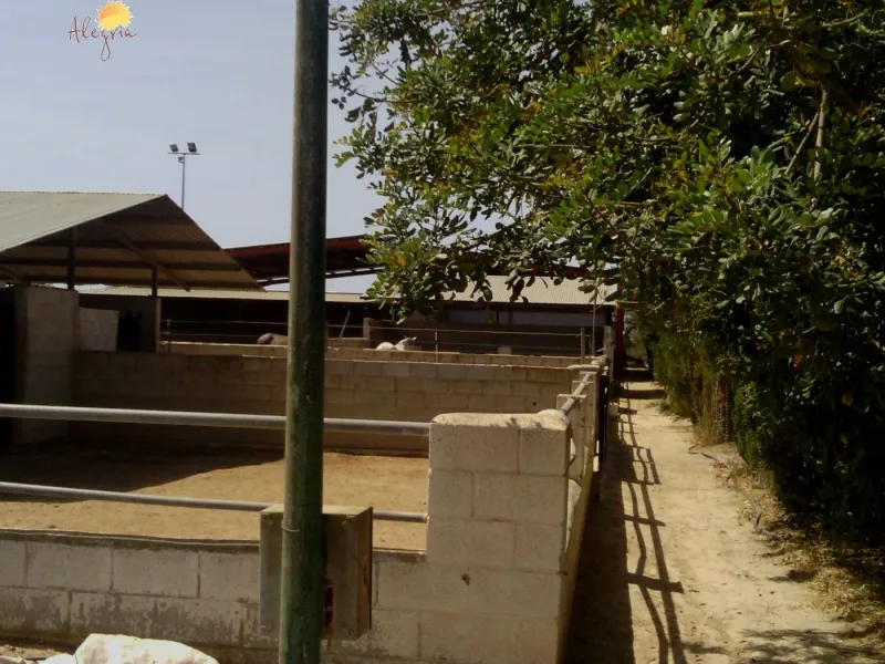 FAMOUS RIDING CENTER WITH INDEPENDENT RURAL HOUSE