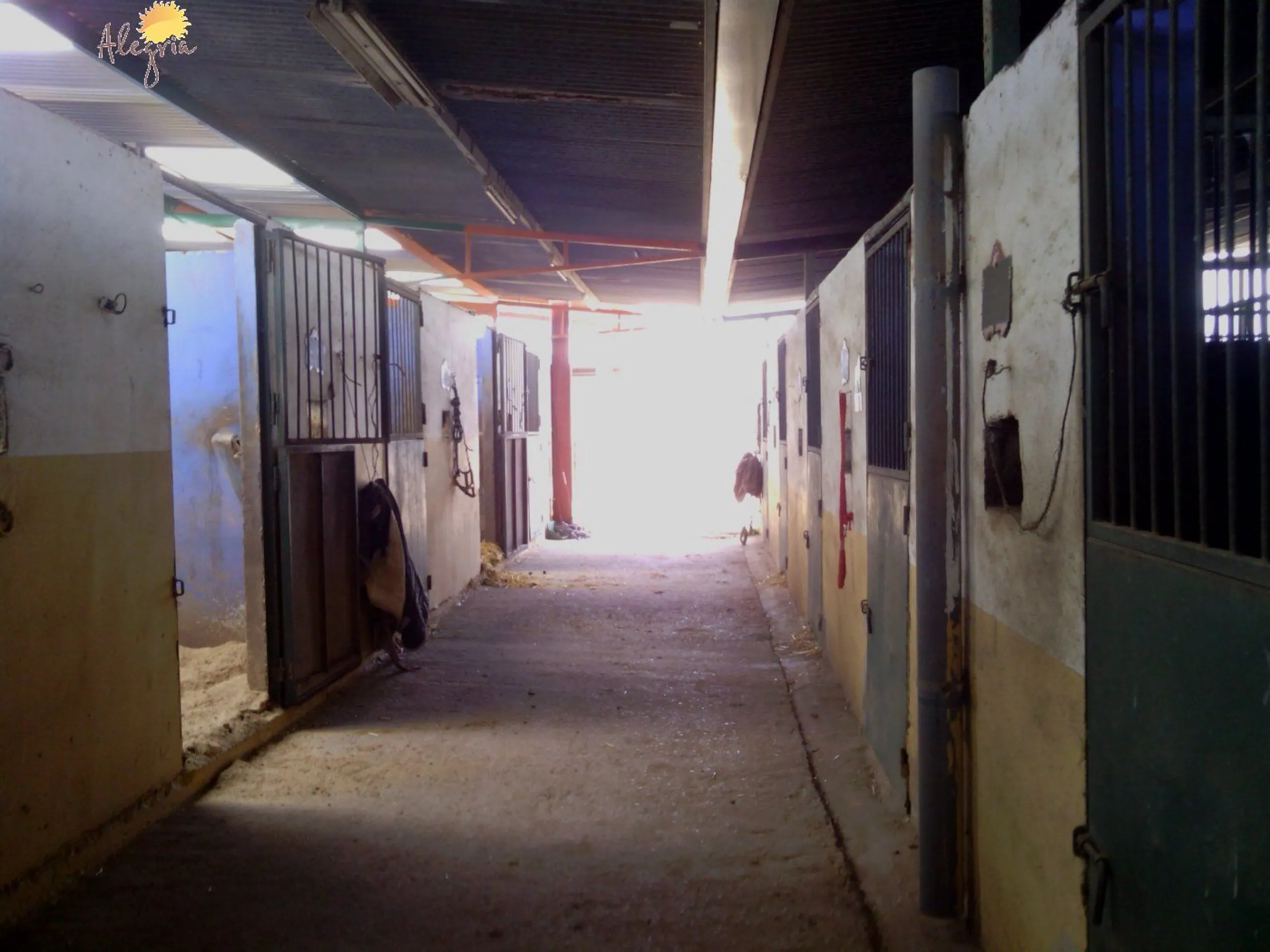 FAMOUS RIDING CENTER WITH INDEPENDENT RURAL HOUSE