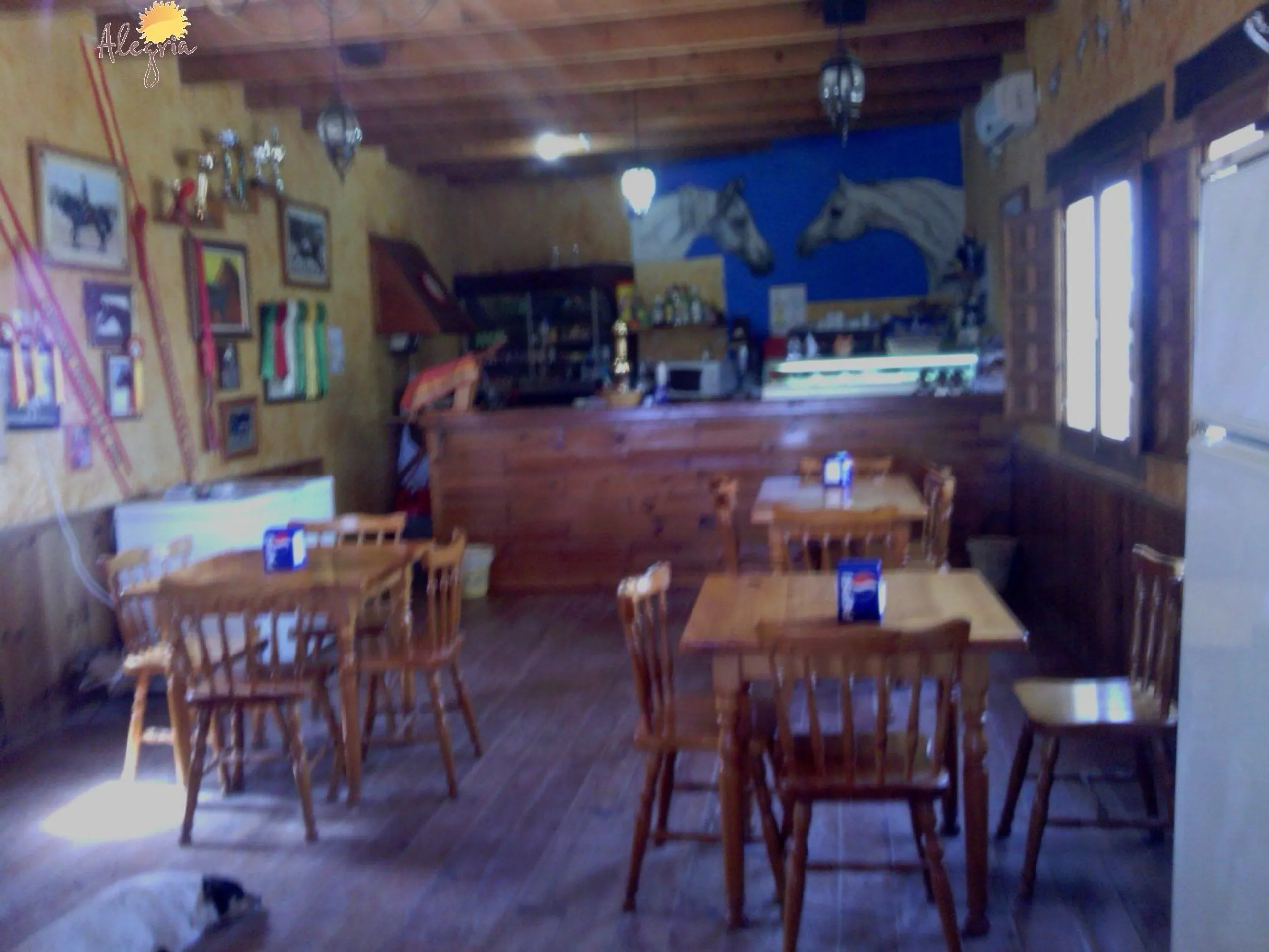 FAMOUS RIDING CENTER WITH INDEPENDENT RURAL HOUSE