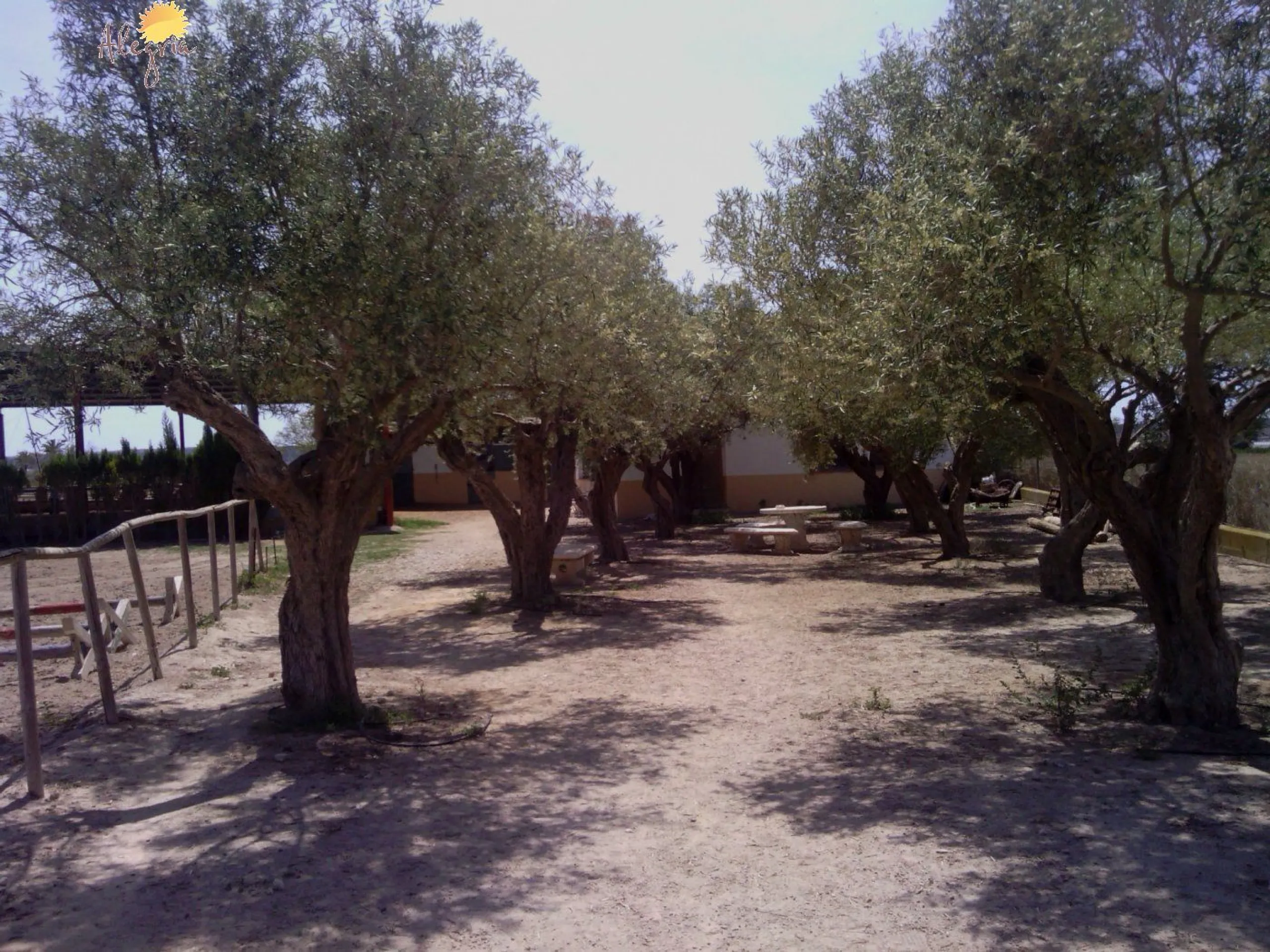 FAMOUS RIDING CENTER WITH INDEPENDENT RURAL HOUSE