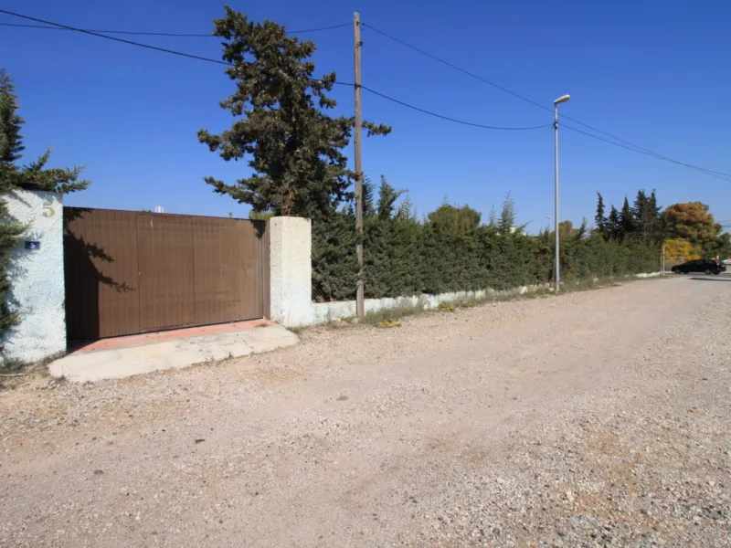 CAMPOAMOR: ESPECTACULAR FINCA, 3500 M2 DE PARCELA CON 2 VIVIENDAS A 2500 METROS DE LA PLAYA