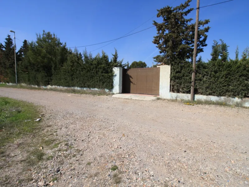 CAMPOAMOR, SPECTACULAR FINCA, 3500 M2 PLOT WITH 2 HOUSES, PRIVATE POOL, 2500 METERS FROM THE BEACH