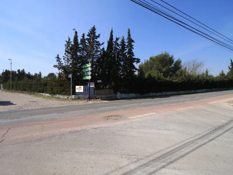 CAMPOAMOR, SPECTACULAR FINCA, 3500 M2 PLOT WITH 2 HOUSES, PRIVATE POOL, 2500 METERS FROM THE BEACH