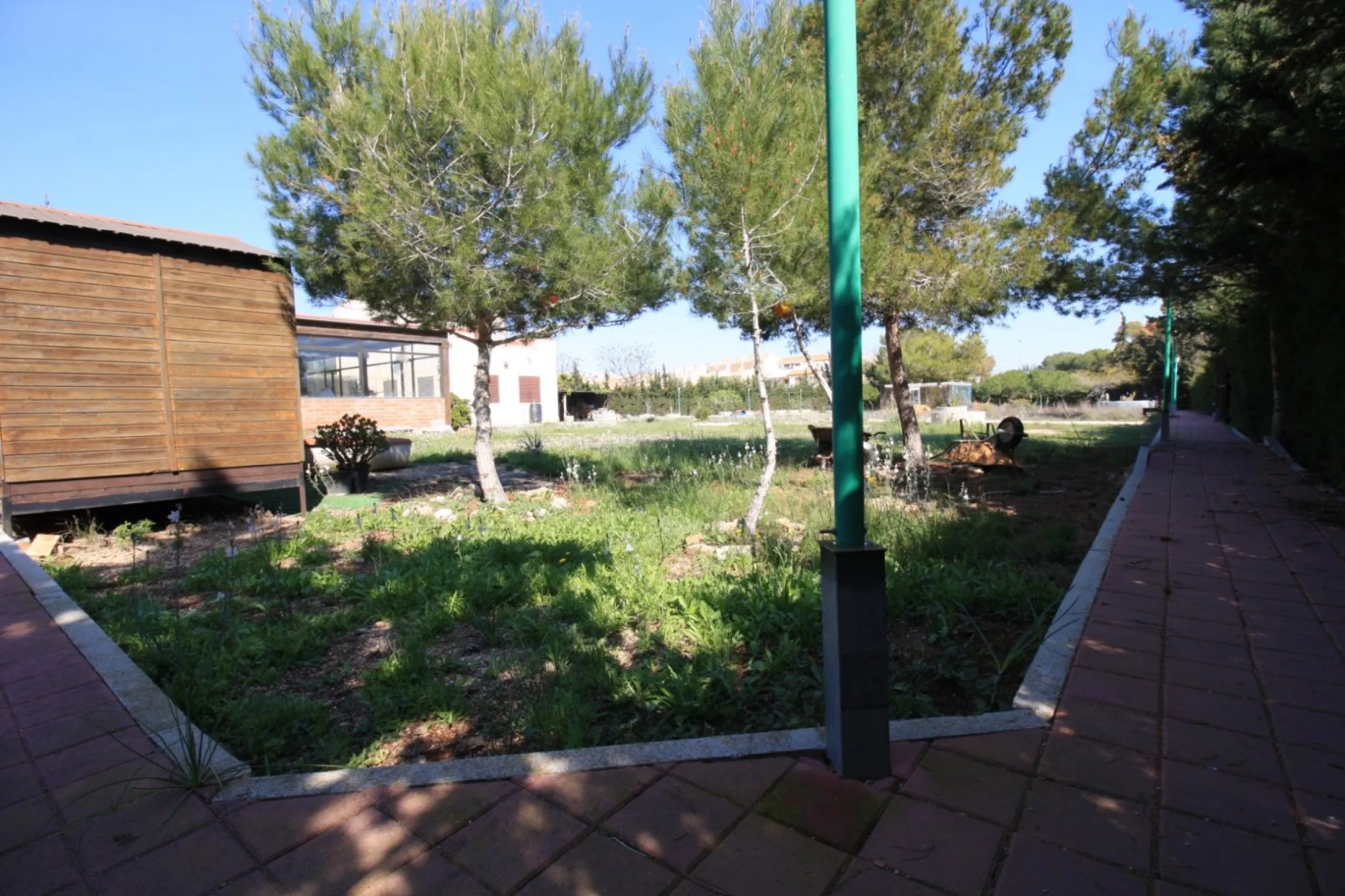 CAMPOAMOR, SPECTACULAR FINCA, 3500 M2 PLOT WITH 2 HOUSES, PRIVATE POOL, 2500 METERS FROM THE BEACH