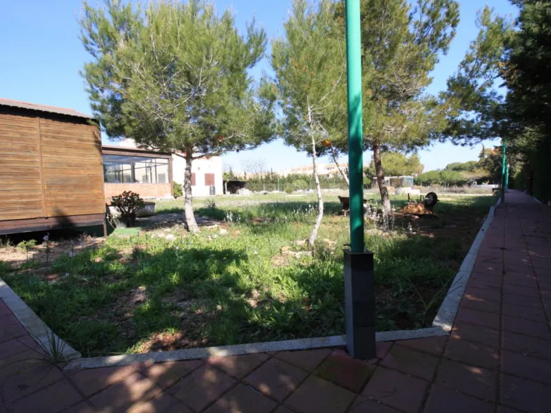 CAMPOAMOR, SPECTACULAR FINCA, 3500 M2 PLOT WITH 2 HOUSES, PRIVATE POOL, 2500 METERS FROM THE BEACH