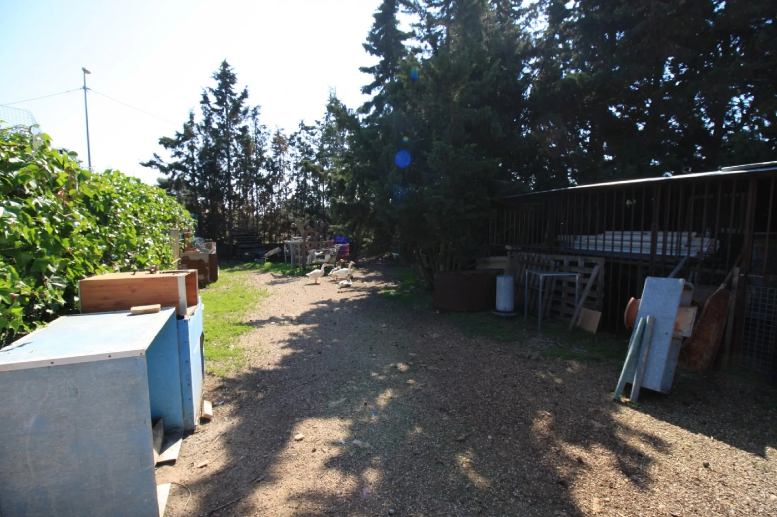 CAMPOAMOR, SPECTACULAR FINCA, 3500 M2 PLOT WITH 2 HOUSES, PRIVATE POOL, 2500 METERS FROM THE BEACH