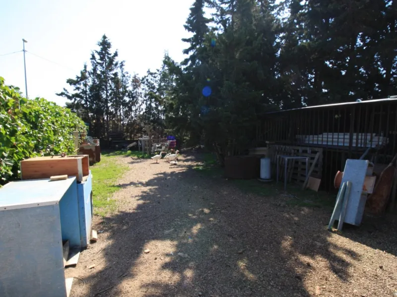 CAMPOAMOR, SPECTACULAR FINCA, 3500 M2 PLOT WITH 2 HOUSES, PRIVATE POOL, 2500 METERS FROM THE BEACH