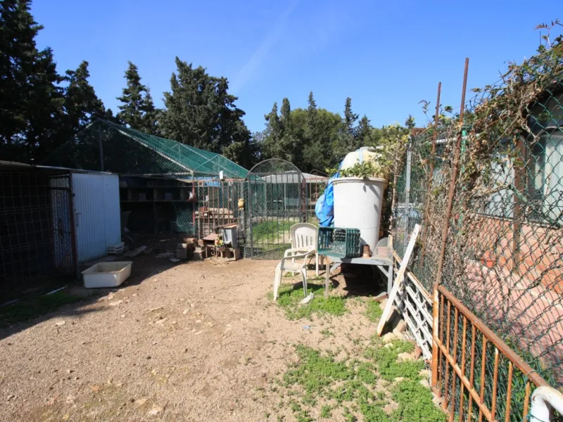 CAMPOAMOR, SPECTACULAR FINCA, 3500 M2 PLOT WITH 2 HOUSES, PRIVATE POOL, 2500 METERS FROM THE BEACH