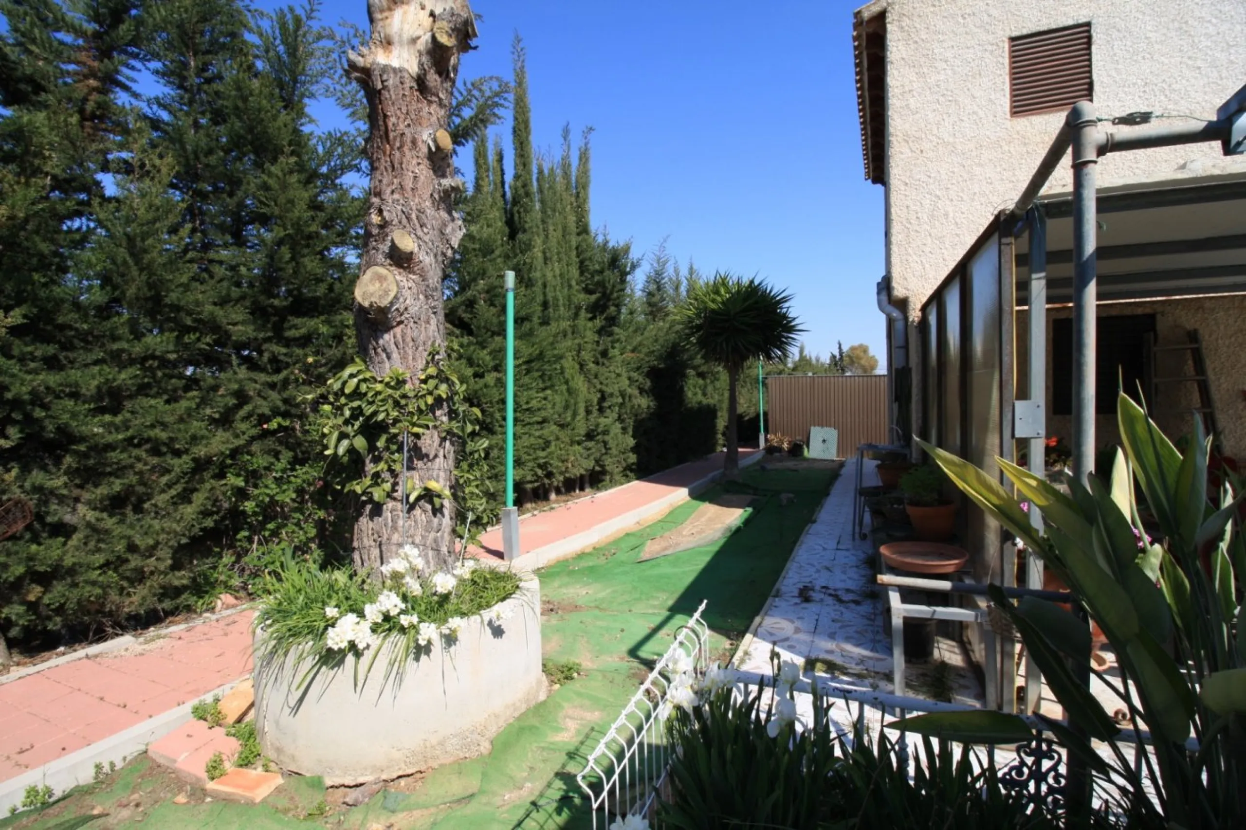 CAMPOAMOR, SPECTACULAR FINCA, 3500 M2 PLOT WITH 2 HOUSES, PRIVATE POOL, 2500 METERS FROM THE BEACH