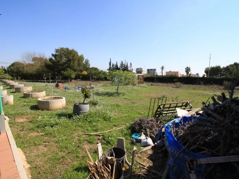 CAMPOAMOR, SPECTACULAR FINCA, 3500 M2 PLOT WITH 2 HOUSES, PRIVATE POOL, 2500 METERS FROM THE BEACH