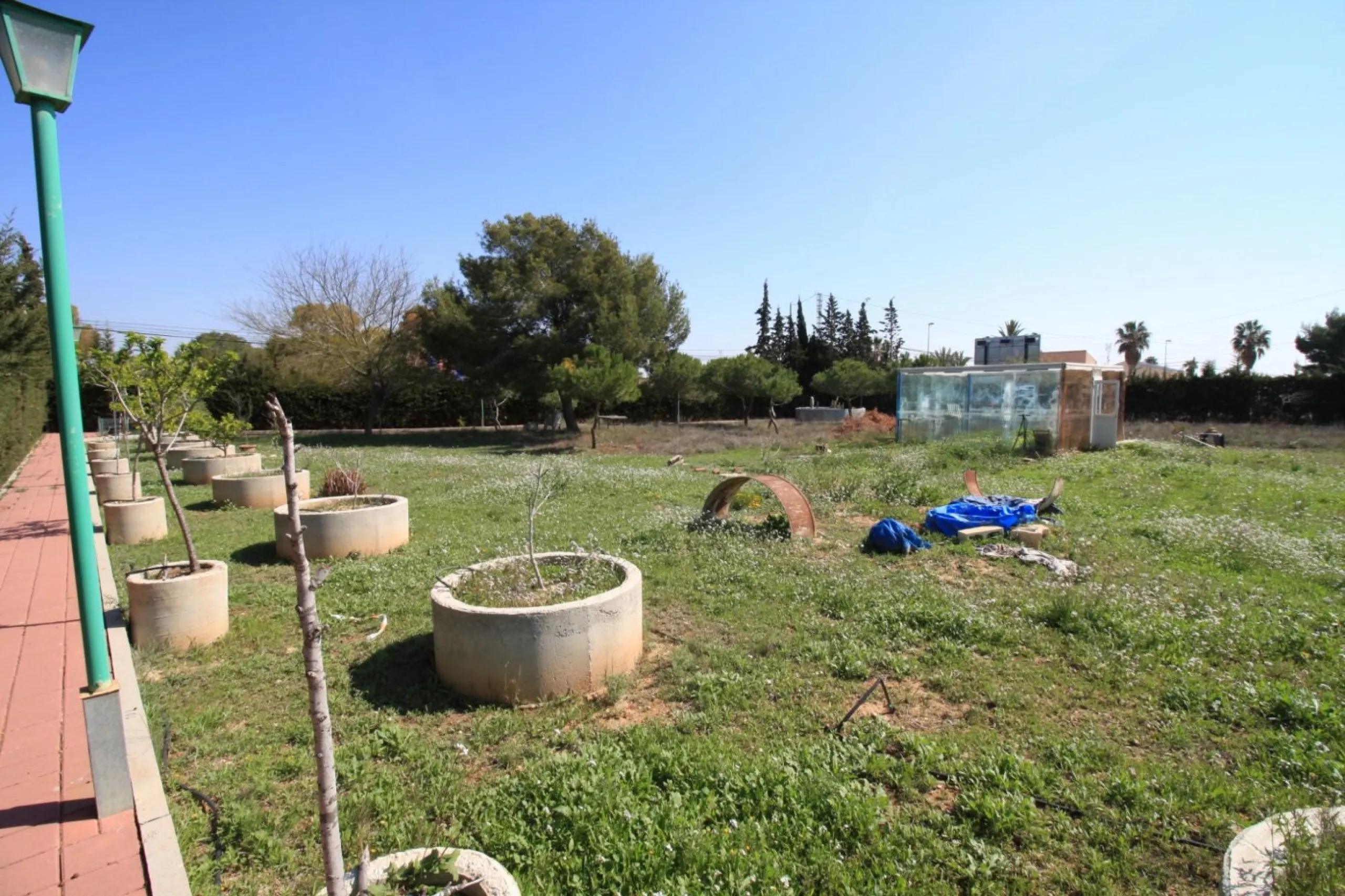 CAMPOAMOR, SPECTACULAR FINCA, 3500 M2 PLOT WITH 2 HOUSES, PRIVATE POOL, 2500 METERS FROM THE BEACH