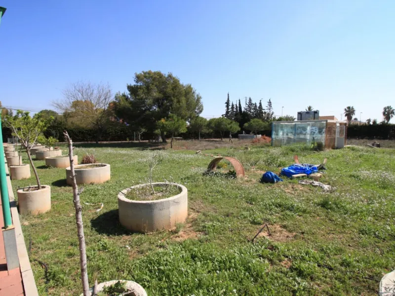 CAMPOAMOR, SPECTACULAR FINCA, 3500 M2 PLOT WITH 2 HOUSES, PRIVATE POOL, 2500 METERS FROM THE BEACH