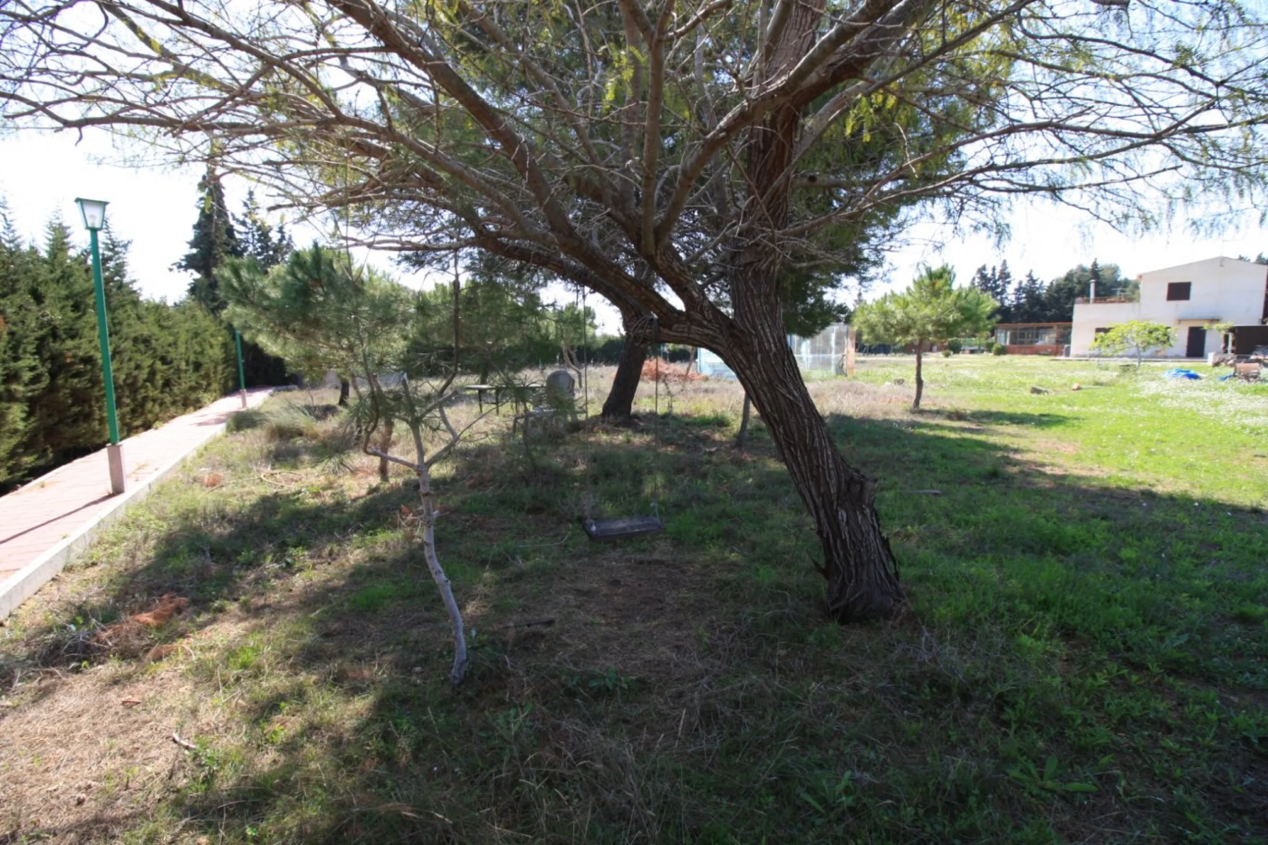 CAMPOAMOR, SPECTACULAR FINCA, 3500 M2 PLOT WITH 2 HOUSES, PRIVATE POOL, 2500 METERS FROM THE BEACH
