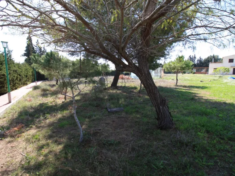 CAMPOAMOR, SPECTACULAR FINCA, 3500 M2 PLOT WITH 2 HOUSES, PRIVATE POOL, 2500 METERS FROM THE BEACH