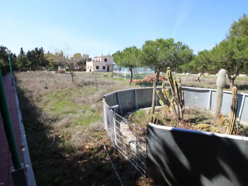 CAMPOAMOR, SPECTACULAR FINCA, 3500 M2 PLOT WITH 2 HOUSES, PRIVATE POOL, 2500 METERS FROM THE BEACH