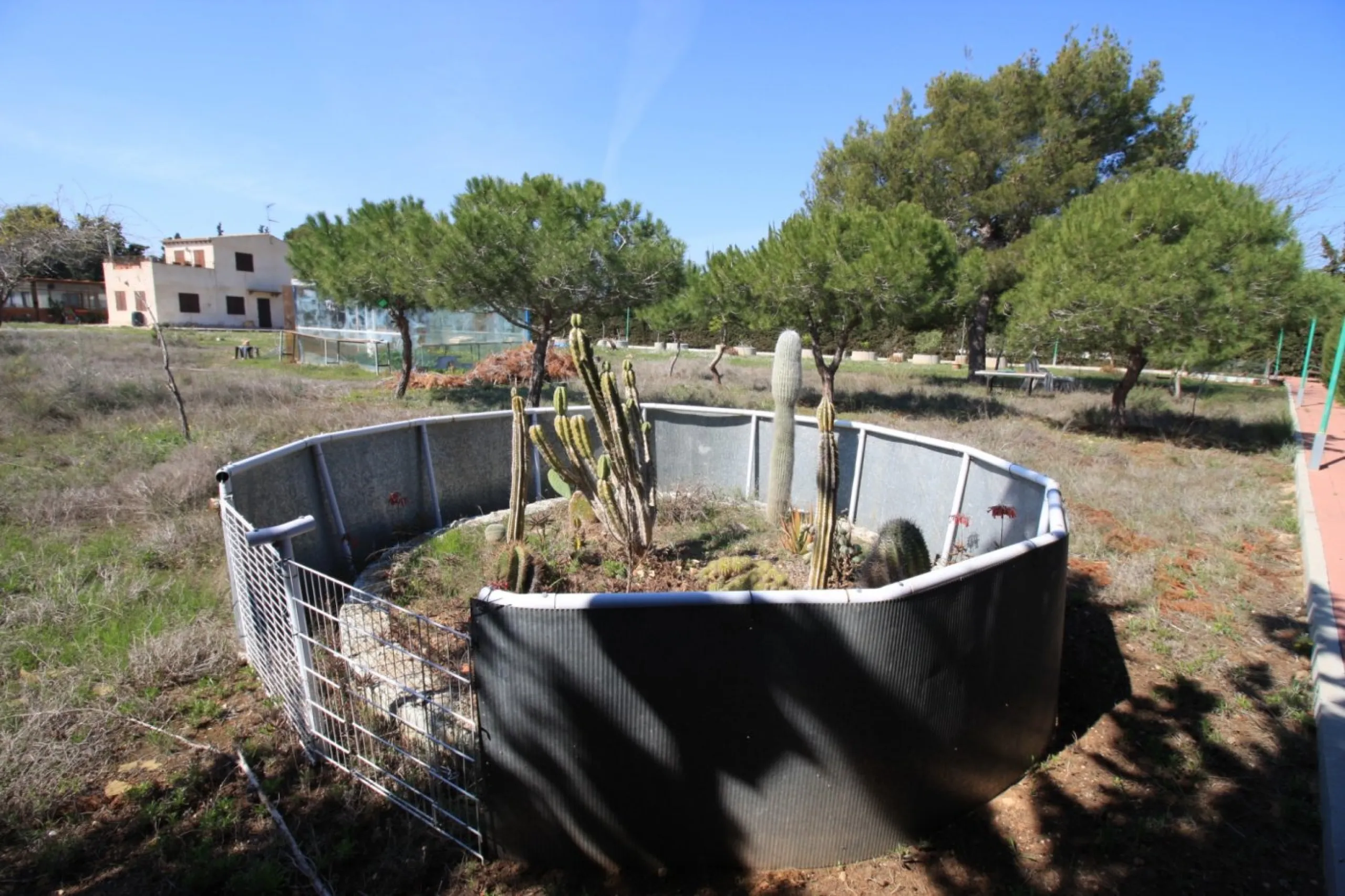 CAMPOAMOR, SPECTACULAR FINCA, 3500 M2 PLOT WITH 2 HOUSES, PRIVATE POOL, 2500 METERS FROM THE BEACH