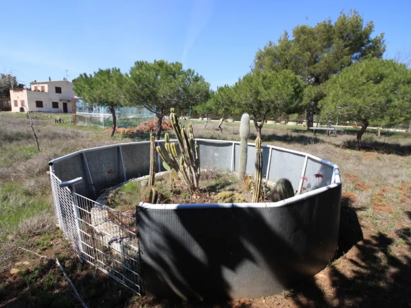 CAMPOAMOR, SPECTACULAR FINCA, 3500 M2 PLOT WITH 2 HOUSES, PRIVATE POOL, 2500 METERS FROM THE BEACH