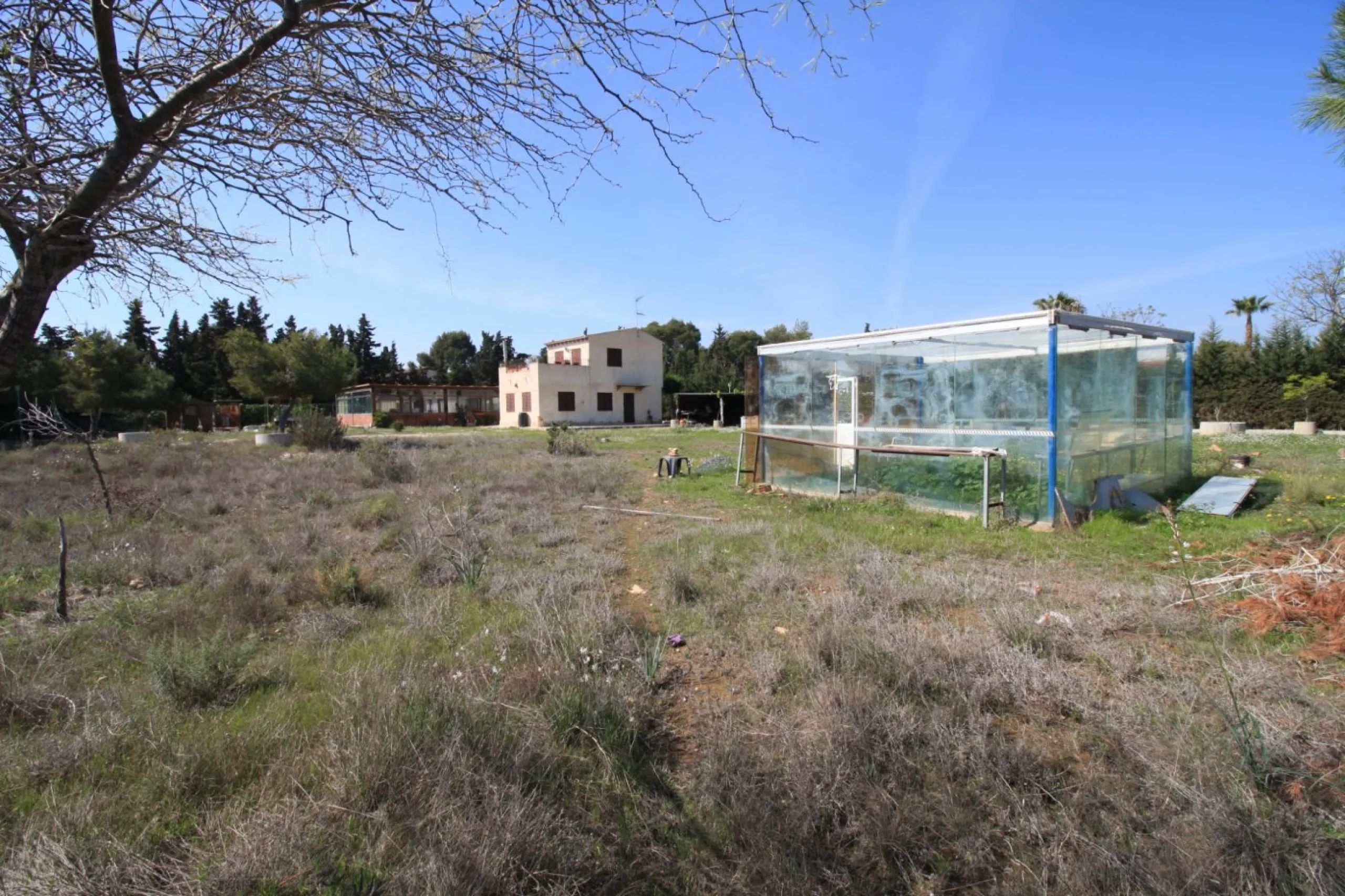 CAMPOAMOR, SPECTACULAR FINCA, 3500 M2 PLOT WITH 2 HOUSES, PRIVATE POOL, 2500 METERS FROM THE BEACH