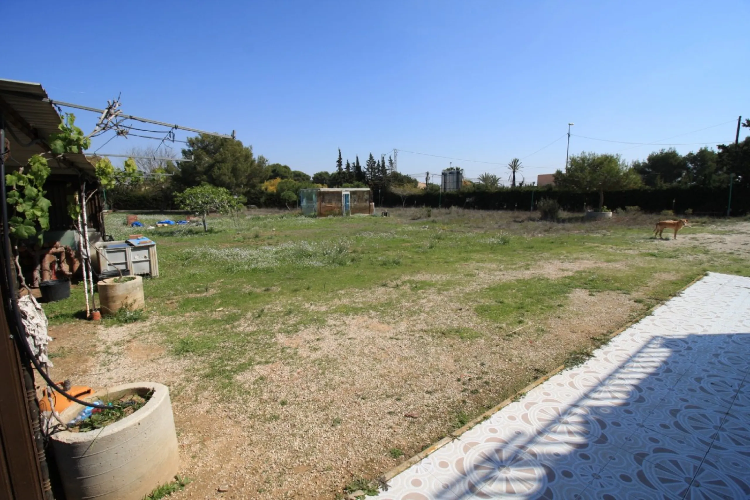 CAMPOAMOR, SPECTACULAR FINCA, 3500 M2 PLOT WITH 2 HOUSES, PRIVATE POOL, 2500 METERS FROM THE BEACH