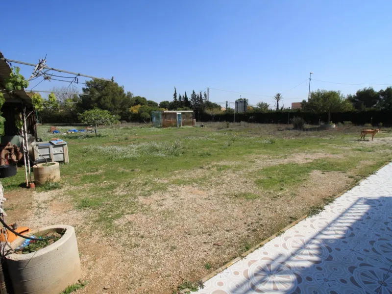 CAMPOAMOR, SPECTACULAR FINCA, 3500 M2 PLOT WITH 2 HOUSES, PRIVATE POOL, 2500 METERS FROM THE BEACH