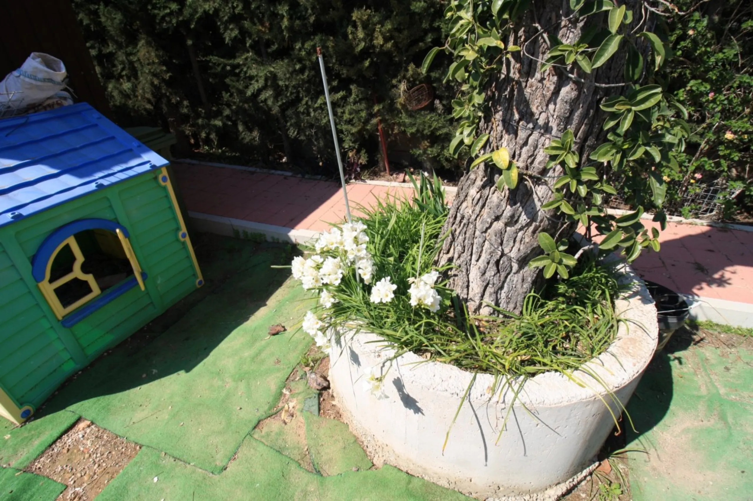 CAMPOAMOR, SPECTACULAR FINCA, 3500 M2 PLOT WITH 2 HOUSES, PRIVATE POOL, 2500 METERS FROM THE BEACH