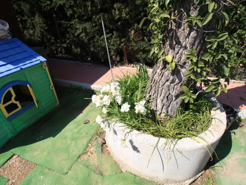 CAMPOAMOR, SPECTACULAR FINCA, 3500 M2 PLOT WITH 2 HOUSES, PRIVATE POOL, 2500 METERS FROM THE BEACH