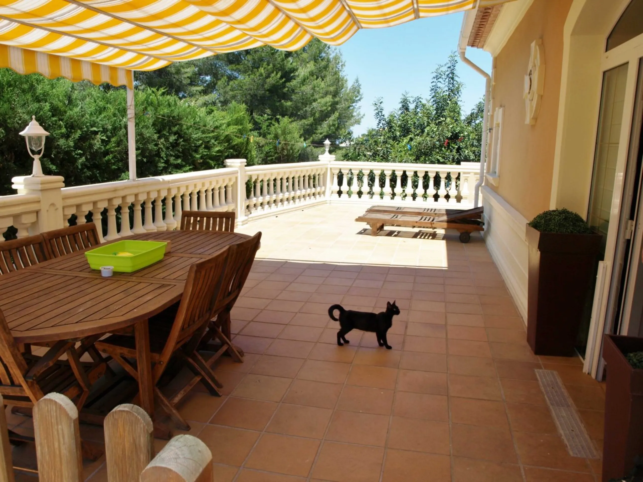 FINCA CON UN CHALET DE LUJO Y DOS ADOSADOS