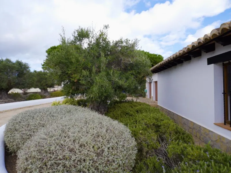 LUXURY HOUSE IN BENISSA