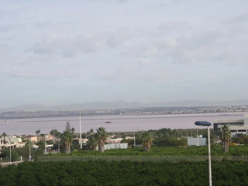 BEAUTIFUL TOWNHOUSE IN LOS ALTOS, TORREVIEJA