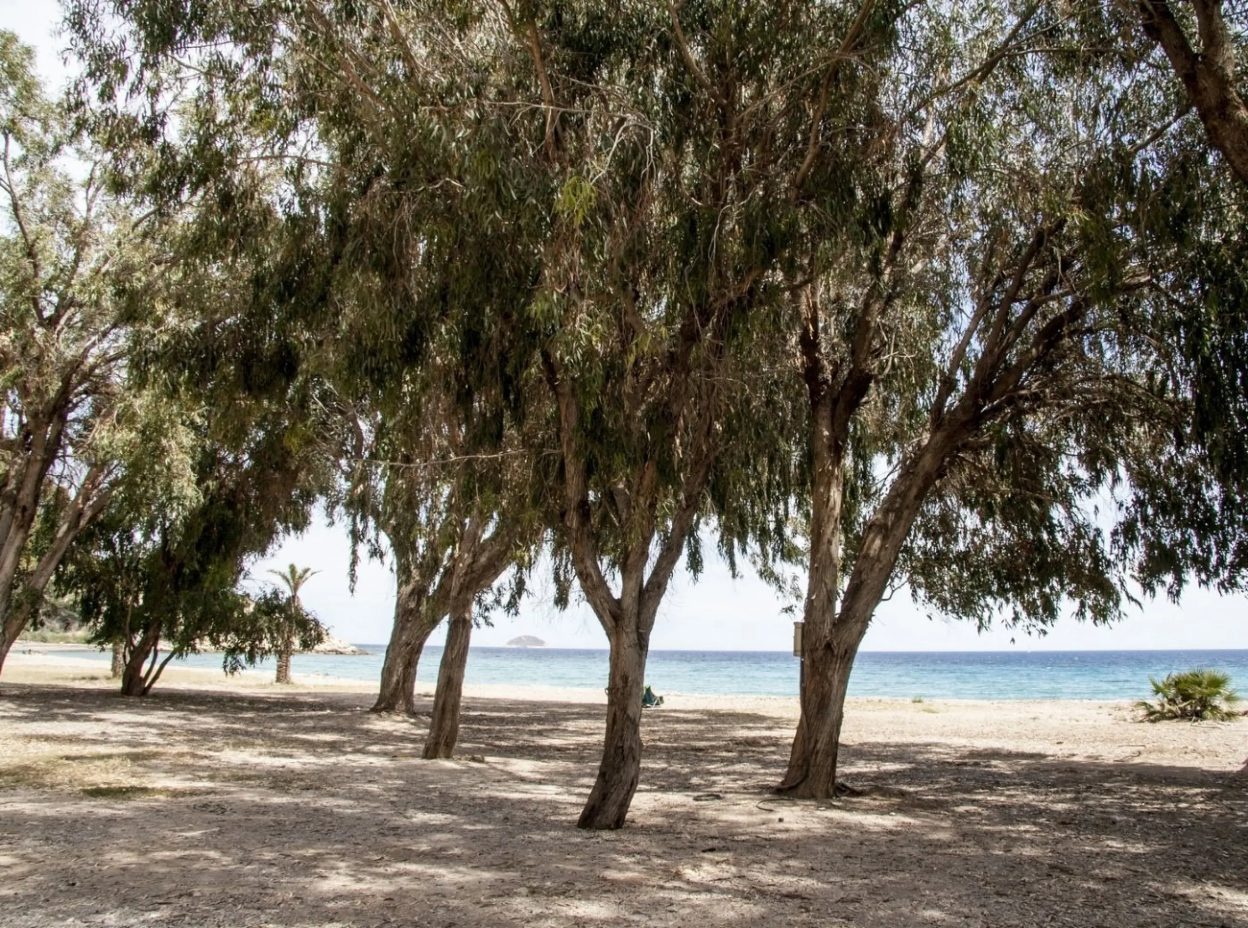 RESIDENTIAL APARTMENT 50M FROM THE BEACH