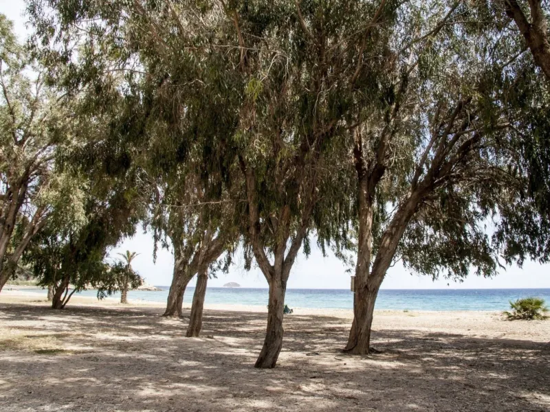 RESIDENTIAL APARTMENT 50M FROM THE BEACH