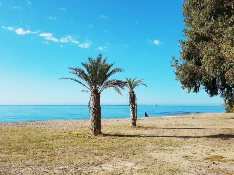 RESIDENTIAL APARTMENT 50M FROM THE BEACH
