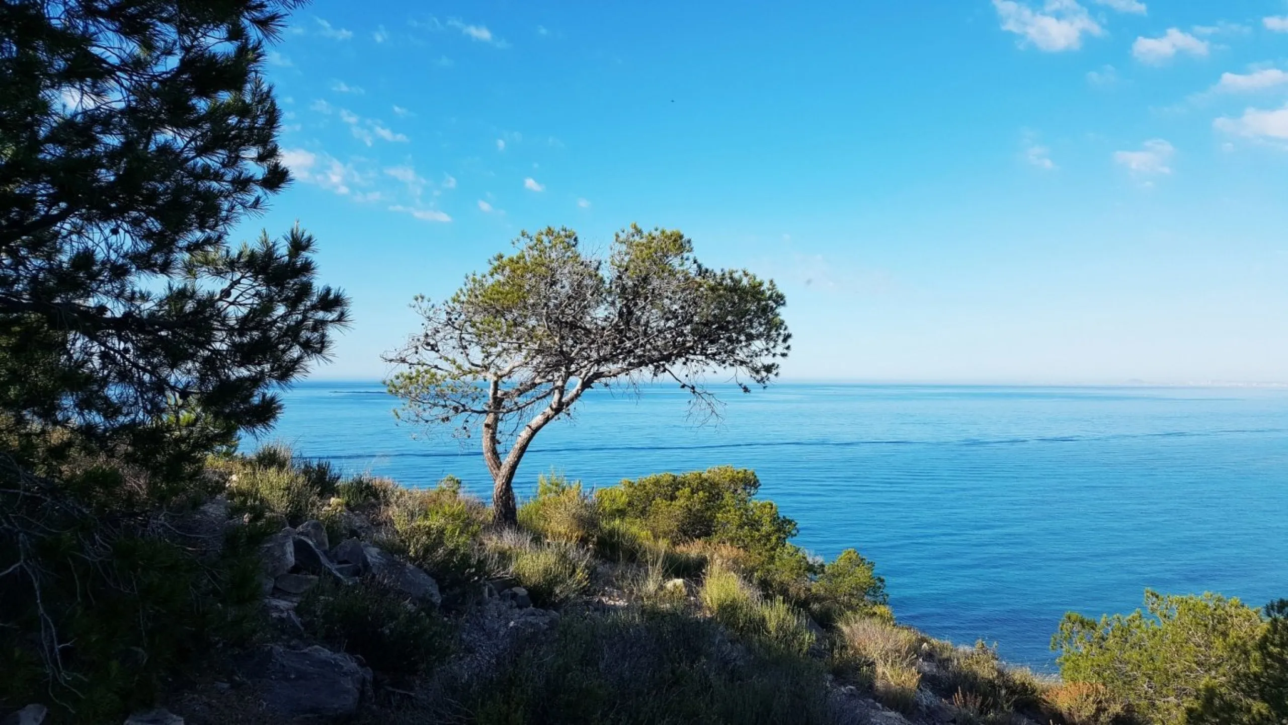 RESIDENTIAL APARTMENT 50M FROM THE BEACH