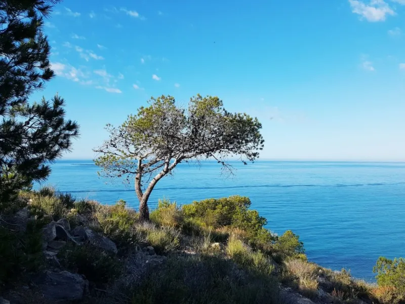 RESIDENTIAL APARTMENT 50M FROM THE BEACH