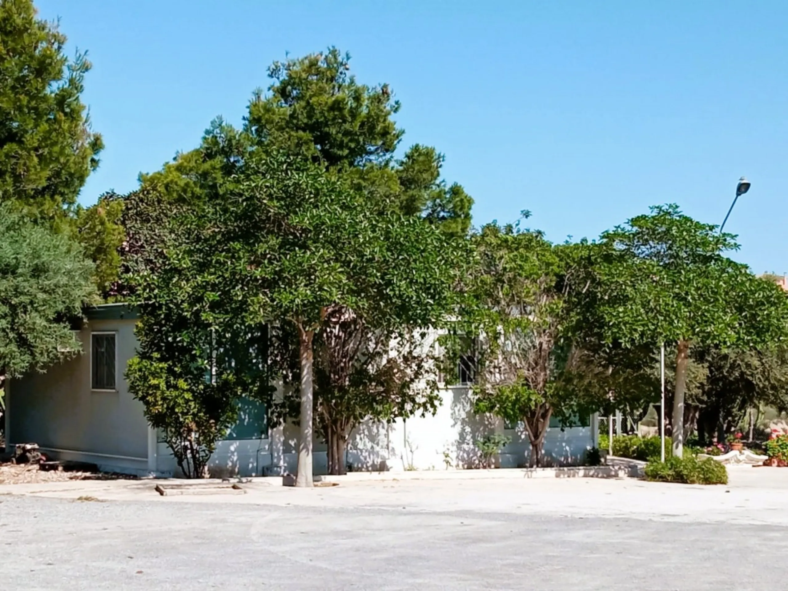 INDEPENDENT VILLA OF 500M2 - LAND OF 10,000M2 NEXT TO BONALBA - MUCHAMIEL